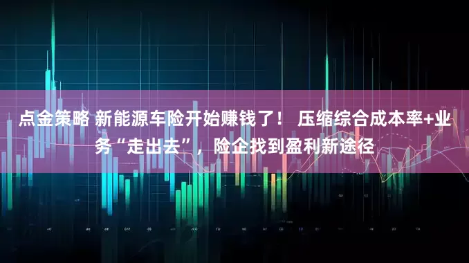 点金策略 新能源车险开始赚钱了！ 压缩综合成本率+业务“走出去”，险企找到盈利新途径